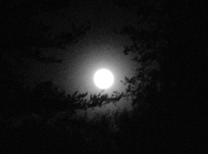 moon-original-full-moon.jpg