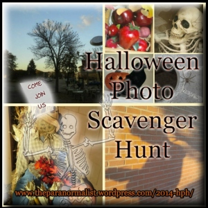 2014 halloween photo scavenger hunt promo
